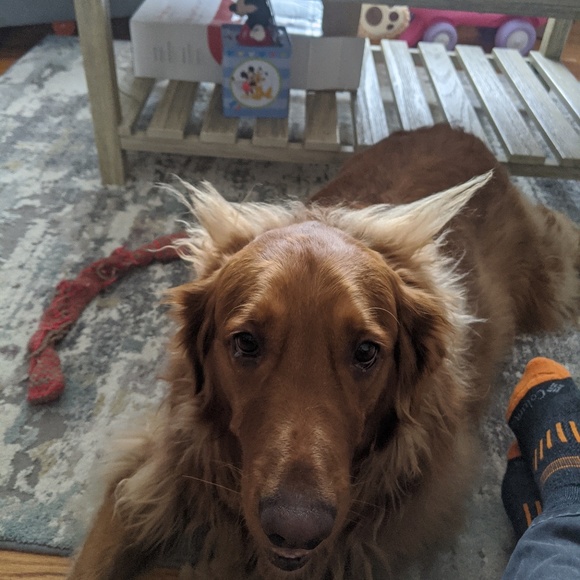 Meet your Posher, Matt - Picture 1 of 1